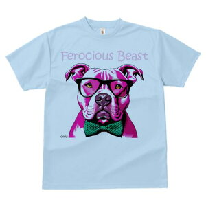 AJsbgueA TVc  j[NfUCfB[X t@  t vg lJWA 킢 lԗp Mtg I ҏ΍ Kl AJsbgu