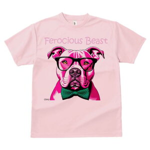 AJsbgueA TVc  j[NfUCfB[X t@  t vg lJWA 킢 lԗp Mtg I ҏ΍ Kl AJsbgu