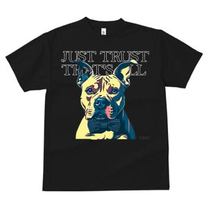 AJsbgueA TVc  j[NfUCfB[X t@  t vg lJWA 킢 lԗp Mtg I ҏ΍ lN^C AJsbg