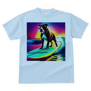 {XgeA TVc  j[NfUCfB[X t@  t vg lJWA 킢 lԗp Mtg I ҏ΍ T[tB {XgeA C g TO