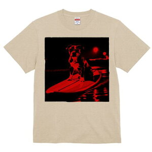 AJsbgueA TVc  j[NfUCfB[X t@  t vg lJWA 킢 lԗp Mtg I ҏ΍ T[tB AJsbg