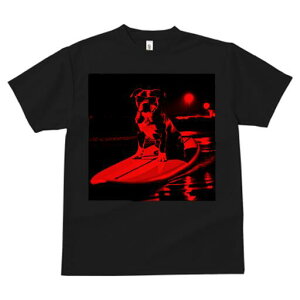 AJsbgueA TVc  j[NfUCfB[X t@  t vg lJWA 킢 lԗp Mtg I ҏ΍ T[tB AJsbg