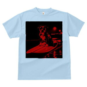 AJsbgueA TVc  j[NfUCfB[X t@  t vg lJWA 킢 lԗp Mtg I ҏ΍ T[tB AJsbg