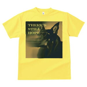 W[}VFp[hhbO TVc  j[NfUCY LbY t@  t vg lJWA 킢 lԗp Mtg I ҏ΍ Kl W[}VFp