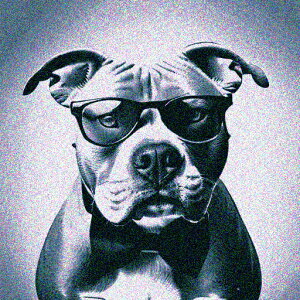 Kl AJsbgueA lN^C NbVJo[ 45×45cm Aj}   NbV{̕t `