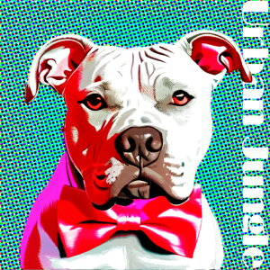 lN^C AJsbgueA NbVJo[ 45×45cm Aj}   NbV{̕t `