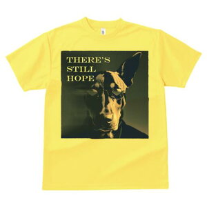 h[x} TVc  j[NfUCfB[X t@  t vg lJWA 킢 lԗp Mtg I ҏ΍ Kl h[x} X[c