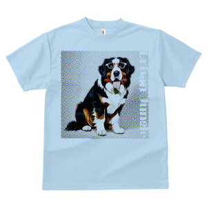 o[j[Y}EehbO TVc  j[NfUCfB[X t@  t vg lJWA 킢 lԗp Mtg I ҏ΍ Kl o[j[Y}Ee