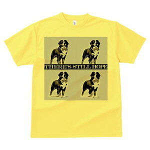 o[j[Y}EehbO TVc  j[NfUCfB[X t@  t vg lJWA 킢 lԗp Mtg I ҏ΍ lN^C o[j[Y}E