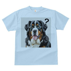 o[j[Y}EehbO TVc  j[NfUCfB[X t@  t vg lJWA 킢 lԗp Mtg I ҏ΍ Kl o[j[Y}Ee