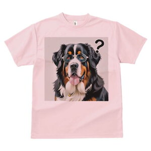 o[j[Y}EehbO TVc  j[NfUCfB[X t@  t vg lJWA 킢 lԗp Mtg I ҏ΍ Kl o[j[Y}Ee