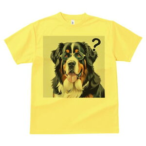 o[j[Y}EehbO TVc  j[NfUCY LbY t@  t vg lJWA 킢 lԗp Mtg I ҏ΍ Kl o[j[Y}E