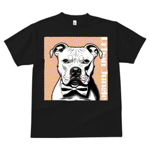 AJsbgueA TVc  j[NfUCfB[X t@  t vg lJWA 킢 lԗp Mtg I ҏ΍ lN^C AJsbg