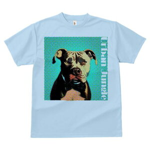 AJsbgueA TVc  j[NfUCfB[X t@  t vg lJWA 킢 lԗp Mtg I ҏ΍ lN^C AJsbg