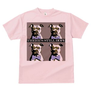 AJsbgueA TVc  j[NfUCfB[X t@  t vg lJWA 킢 lԗp Mtg I ҏ΍ lN^C AJsbg