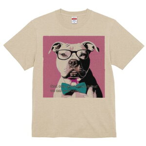 AJsbgueA TVc  j[NfUCfB[X t@  t vg lJWA 킢 lԗp Mtg I ҏ΍ Kl AJsbgu