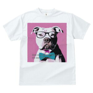 AJsbgueA TVc  j[NfUCfB[X t@  t vg lJWA 킢 lԗp Mtg I ҏ΍ Kl AJsbgu