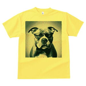 AJsbgueA TVc  j[NfUCY LbY t@  t vg lJWA 킢 lԗp Mtg I ҏ΍ Kl AJsbg