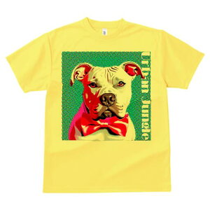 AJsbgueA TVc  j[NfUCfB[X t@  t vg lJWA 킢 lԗp Mtg I ҏ΍ lN^C AJsbg