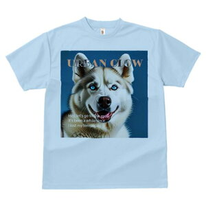 nXL[ TVc  j[NfUCfB[X t@  t vg lJWA 킢 lԗp Mtg I ҏ΍ Ȃ nXL[