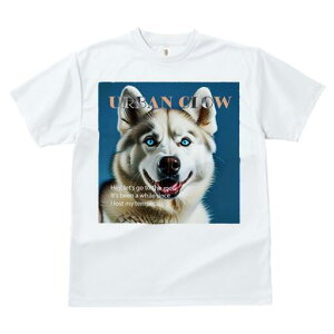 nXL[ TVc  j[NfUCfB[X t@  t vg lJWA 킢 lԗp Mtg I ҏ΍ Ȃ nXL[