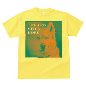 Hc TVc  j[NfUCfB[X t@  t vg lJWA 킢 lԗp Mtg I ҏ΍ Hc