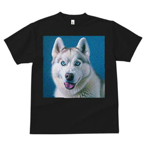 VxAnXL[ TVc  j[NfUCfB[X t@  t vg lJWA 킢 lԗp Mtg I ҏ΍ VxAnXL[