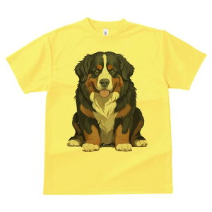 o[j[Y}EehbO TVc  j[NfUCfB[X t@  t vg lJWA 킢 lԗp Mtg I ҏ΍ o[j[Y}EehbO