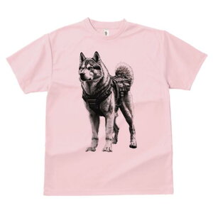 VxAnXL[ TVc  j[NfUCfB[X t@  t vg lJWA 킢 lԗp Mtg I ҏ΍ n[lX VxAnXL[ ~^