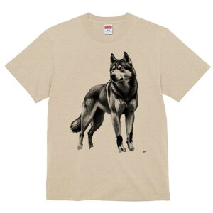 nXL[ TVc  j[NfUCfB[X t@  t vg lJWA 킢 lԗp Mtg I ҏ΍ nXL[