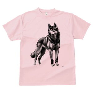 nXL[ TVc  j[NfUCfB[X t@  t vg lJWA 킢 lԗp Mtg I ҏ΍ nXL[