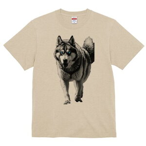 nXL[ TVc  j[NfUCfB[X t@  t vg lJWA 킢 lԗp Mtg I ҏ΍ nXL[