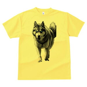 nXL[ TVc  j[NfUCfB[X t@  t vg lJWA 킢 lԗp Mtg I ҏ΍ nXL[