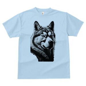 nXL[ TVc  j[NfUCfB[X t@  t vg lJWA 킢 lԗp Mtg I ҏ΍ }XN nXL[ t@bV