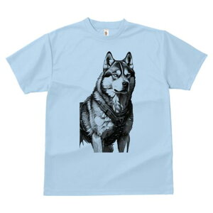 nXL[ TVc  j[NfUCfB[X t@  t vg lJWA 킢 lԗp Mtg I ҏ΍ n[lX nXL[