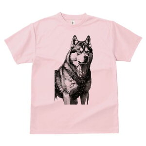 nXL[ TVc  j[NfUCfB[X t@  t vg lJWA 킢 lԗp Mtg I ҏ΍ n[lX nXL[