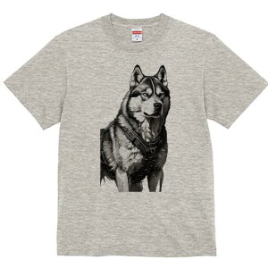 nXL[ TVc  j[NfUCfB[X t@  t vg lJWA 킢 lԗp Mtg I ҏ΍ n[lX nXL[