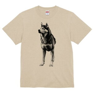 nXL[ TVc  j[NfUCfB[X t@  t vg lJWA 킢 lԗp Mtg I ҏ΍ nXL[