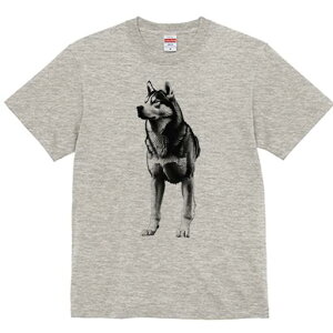 nXL[ TVc  j[NfUCfB[X t@  t vg lJWA 킢 lԗp Mtg I ҏ΍ nXL[