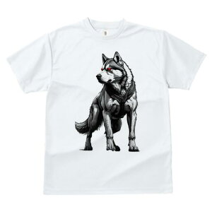 nXL[ TVc  j[NfUCfB[X t@  t vg lJWA 킢 lԗp Mtg I ҏ΍ nXL[