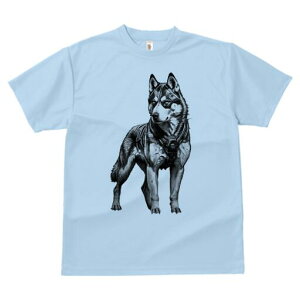 nXL[ TVc  j[NfUCfB[X t@  t vg lJWA 킢 lԗp Mtg I ҏ΍ TCo[pN nXL[ A[}[