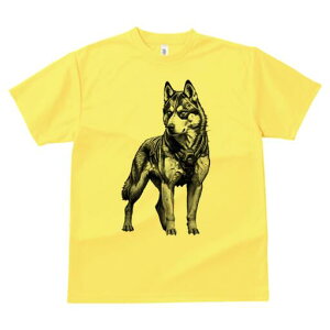 nXL[ TVc  j[NfUCfB[X t@  t vg lJWA 킢 lԗp Mtg I ҏ΍ TCo[pN nXL[ A[}[