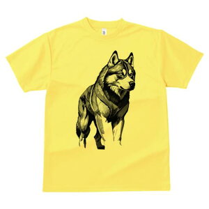 nXL[ TVc  j[NfUCfB[X t@  t vg lJWA 킢 lԗp Mtg I ҏ΍ nXL[