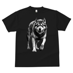 nXL[ TVc  j[NfUCfB[X t@  t vg lJWA 킢 lԗp Mtg I ҏ΍ nXL[