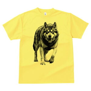 nXL[ TVc  j[NfUCfB[X t@  t vg lJWA 킢 lԗp Mtg I ҏ΍ nXL[