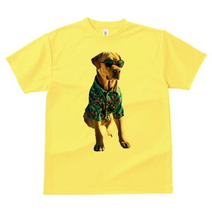 uh[go[ TVc  j[NfUCfB[X t@  t vg lJWA 킢 lԗp Mtg I ҏ΍ AnVc uh[g