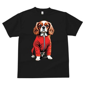 LoA TVc  j[NfUCfB[X t@  t vg lJWA 킢 lԗp Mtg I ҏ΍  LoA WvX[c