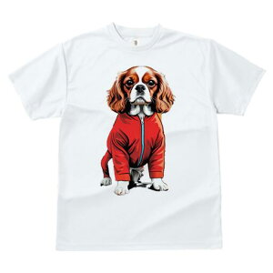 LoA TVc  j[NfUCfB[X t@  t vg lJWA 킢 lԗp Mtg I ҏ΍  LoA WvX[c