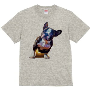 {XgeA TVc  j[NfUCfB[X t@  t vg lJWA 킢 lԗp Mtg I ҏ΍ {XgeA