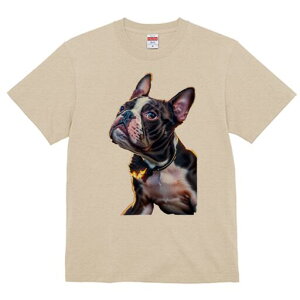 {XgeA TVc  j[NfUCfB[X t@  t vg lJWA 킢 lԗp Mtg I ҏ΍  {XgeA